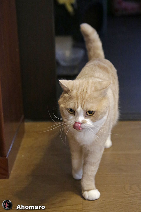 写真00