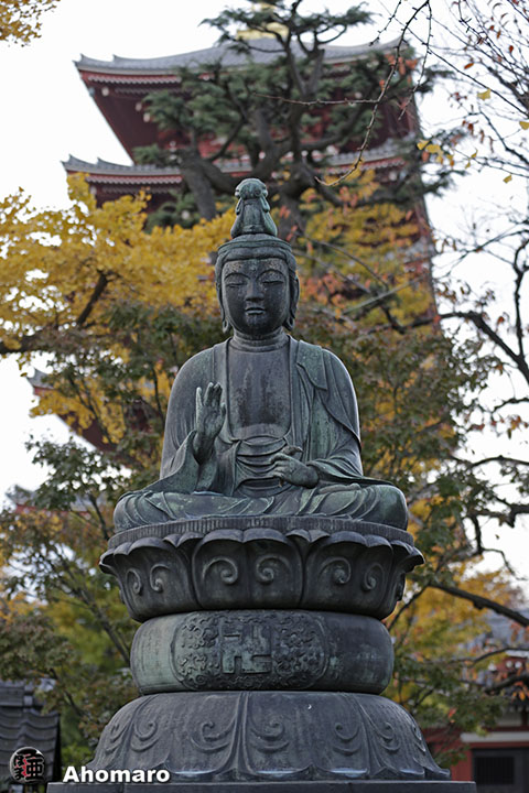 写真00