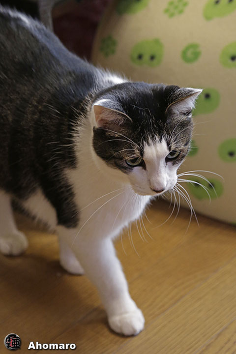 写真00
