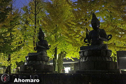 写真00