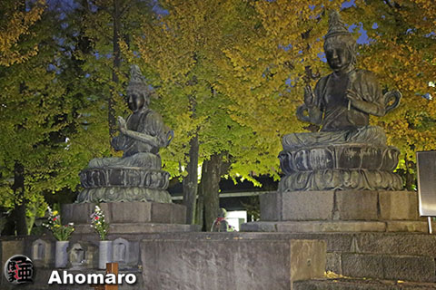 写真00