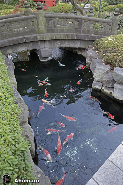 写真00