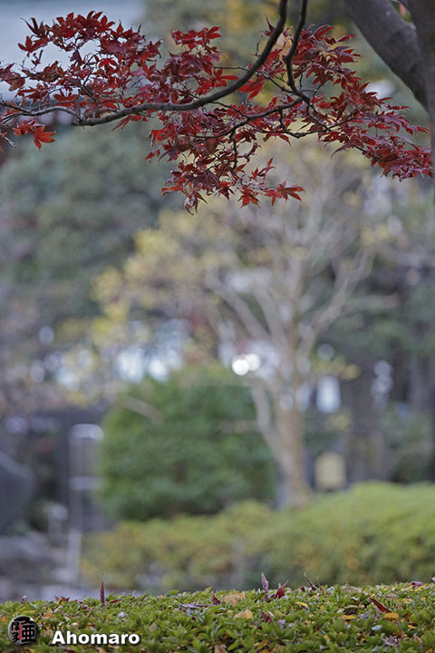 写真00