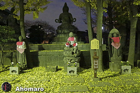 写真00