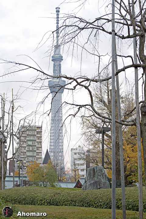 写真00
