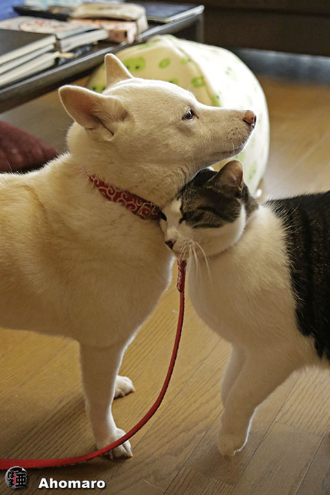 写真00