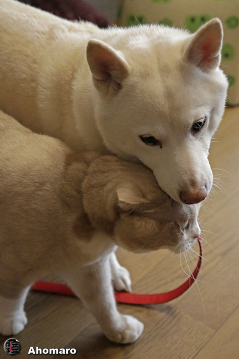 写真00