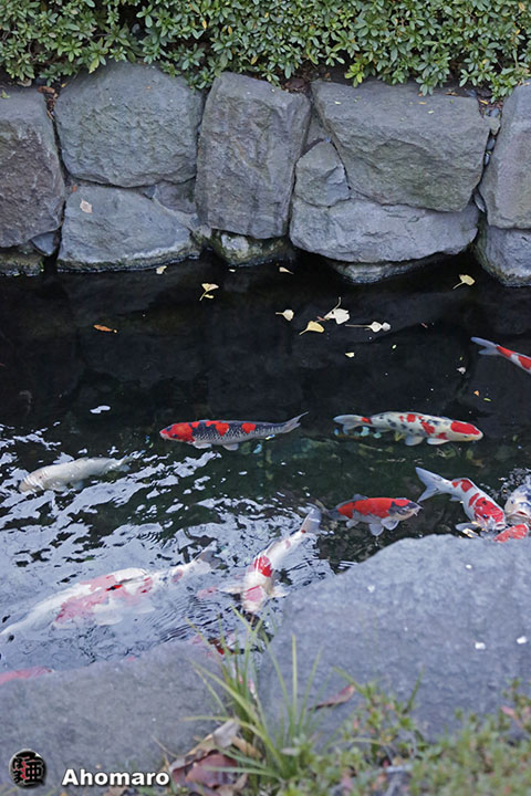 写真00