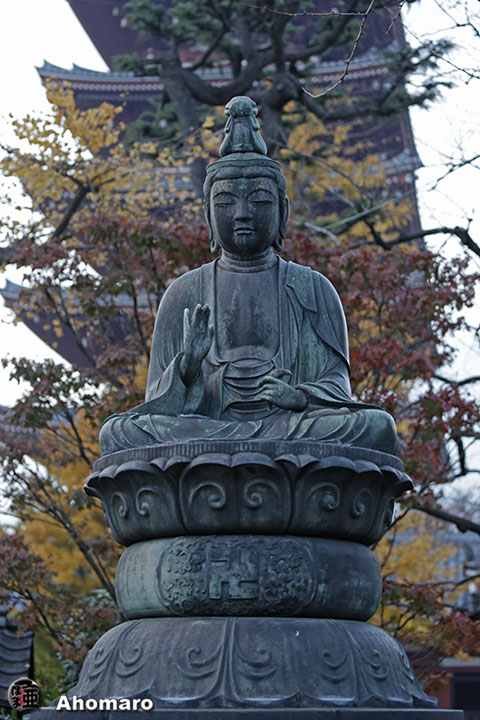 写真00