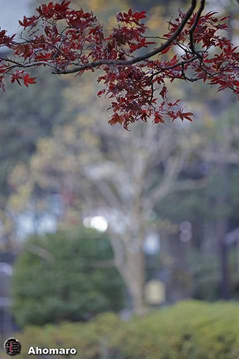 写真00