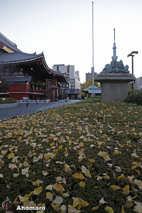 写真00