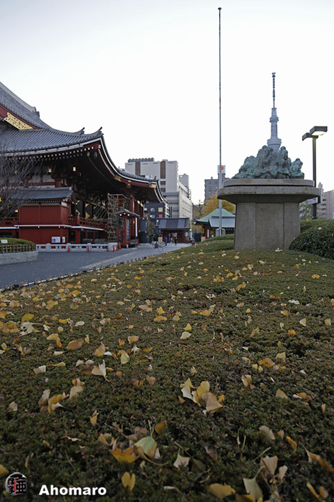 写真00