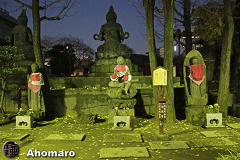 写真00
