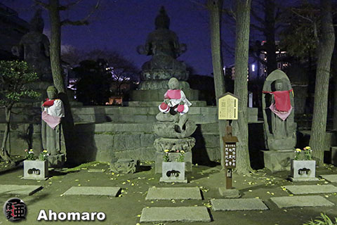 写真00
