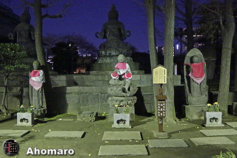 写真00
