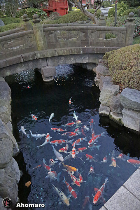 写真00