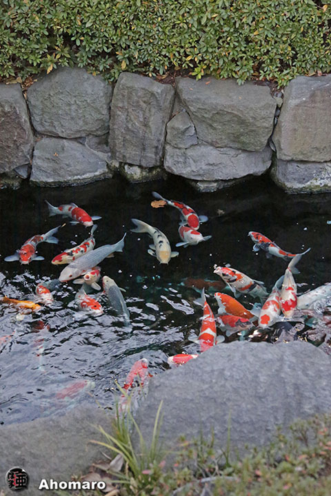 写真00