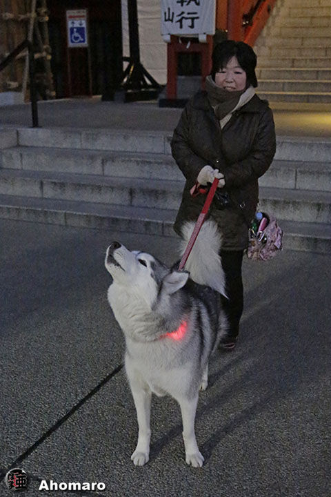 ʐ^00