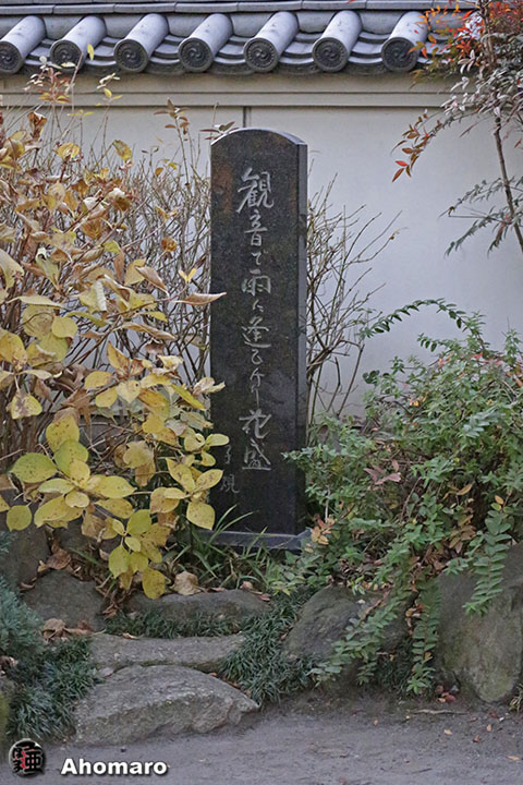 ʐ^00