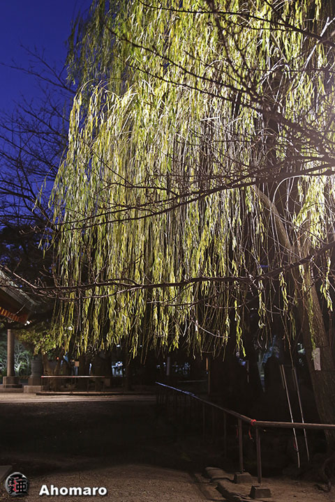 写真00