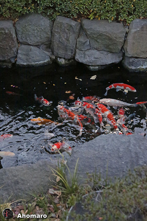 写真00