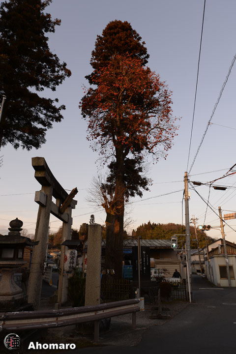 写真00