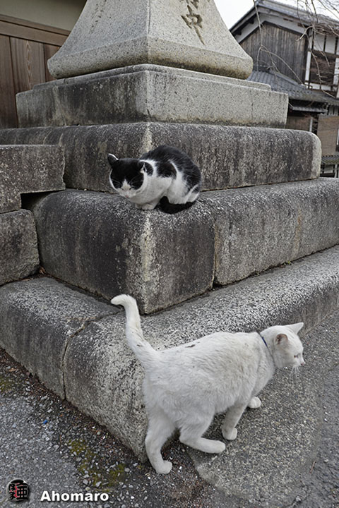 写真00
