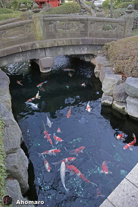 写真00