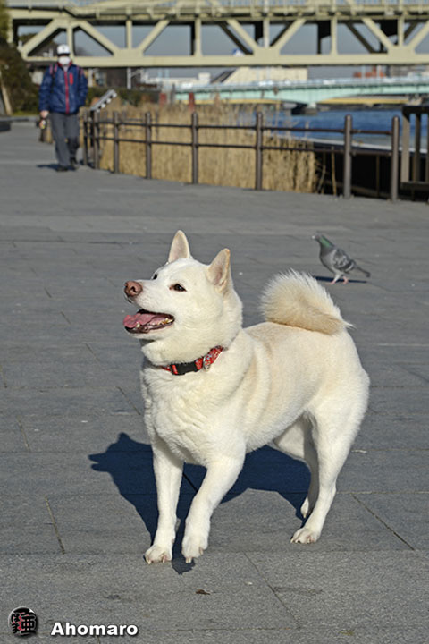 写真00
