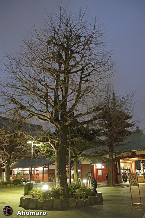 写真00