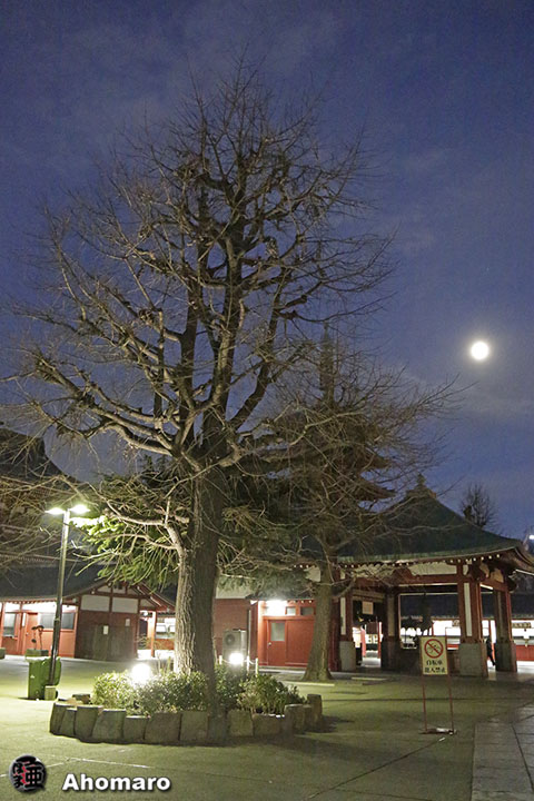 写真00