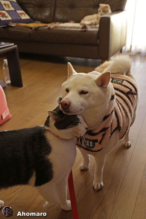写真00