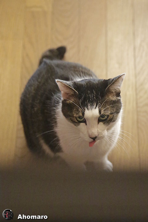 写真00