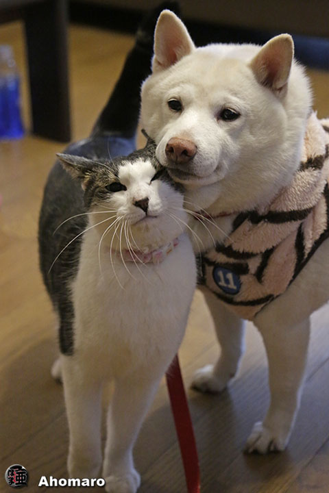 写真00