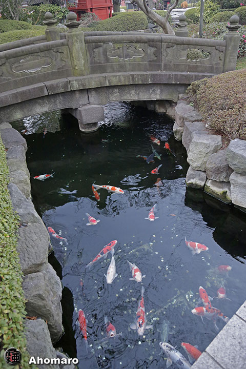 写真00