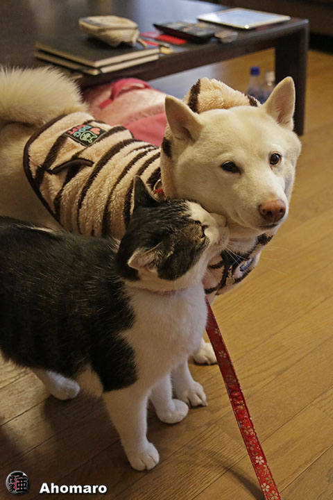 写真00
