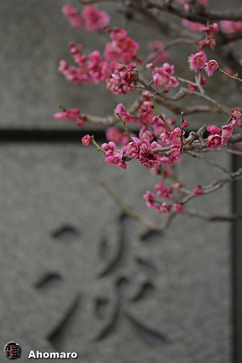 写真00