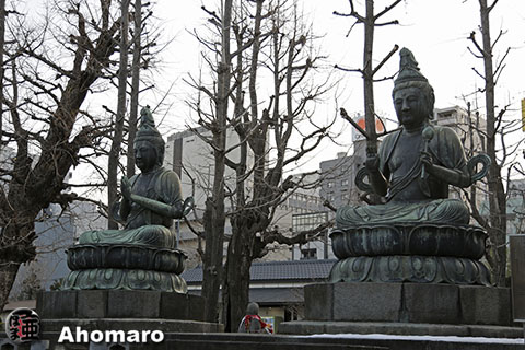 写真00