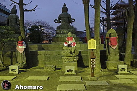 写真00