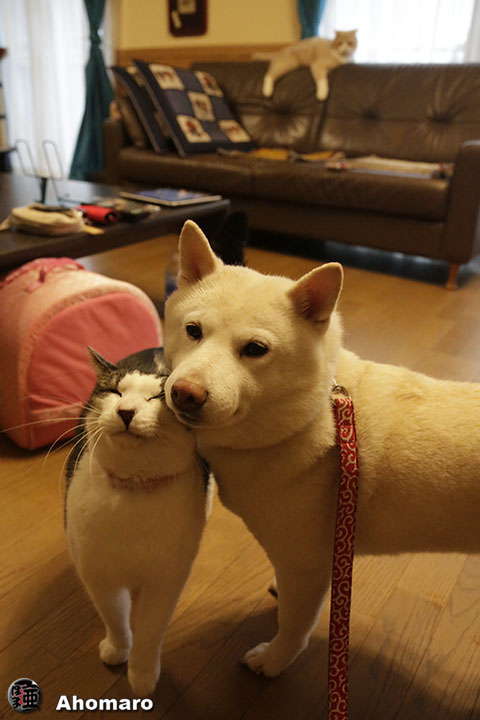 写真00