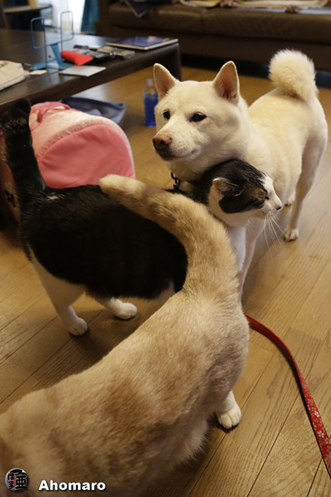 写真00