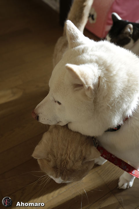 写真00