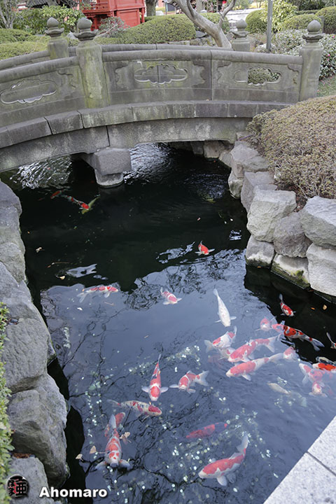 写真00
