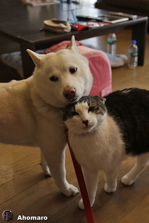 写真00
