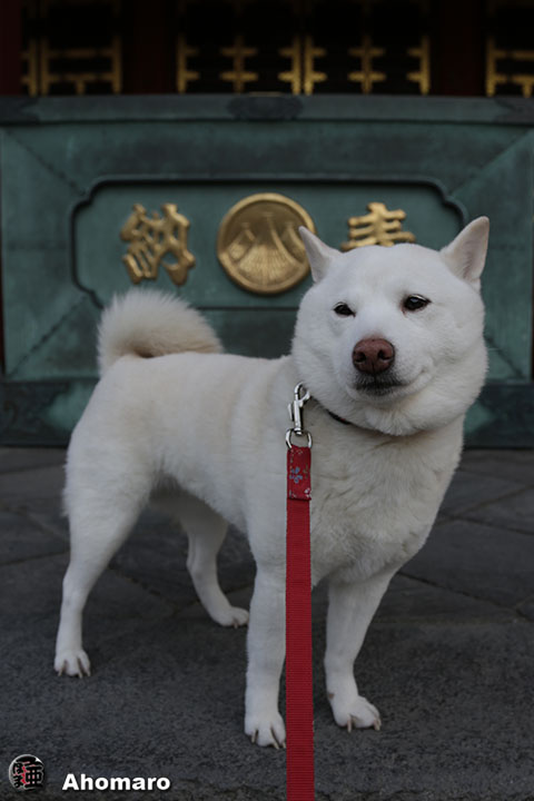 写真00