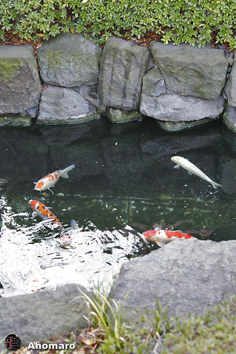 写真00