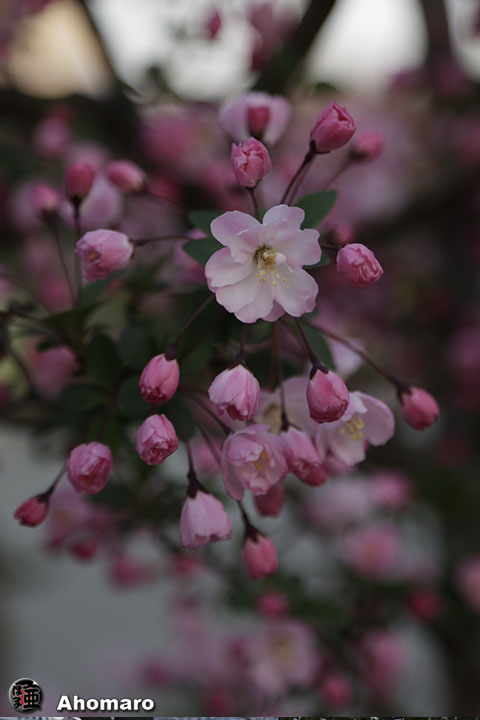 写真00