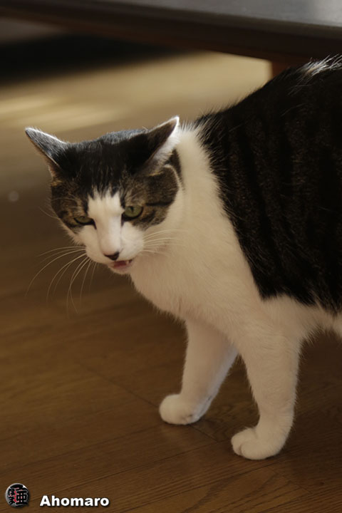 写真00