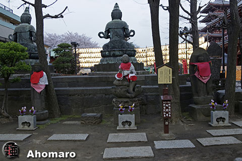 写真00