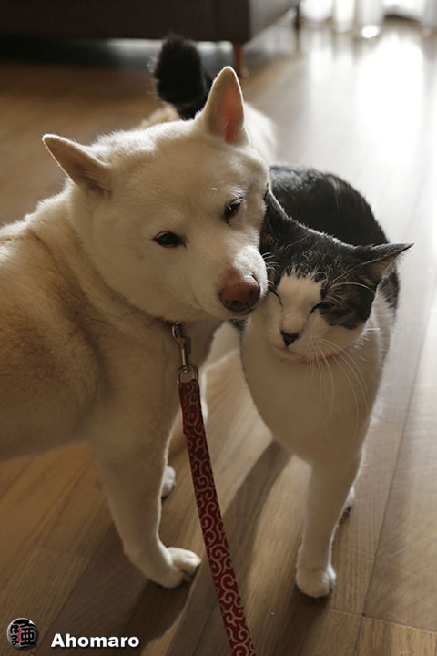 写真00